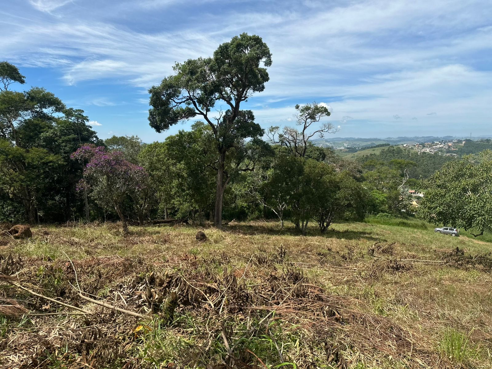 WhatsApp Image 2026-04-06 at 09.40.58